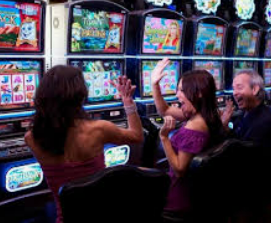 鲸鱼体育电脑免费版