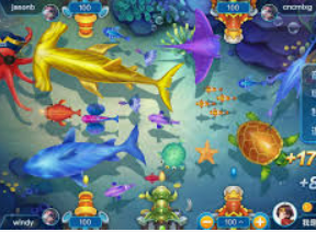 鲸鱼体育正式版