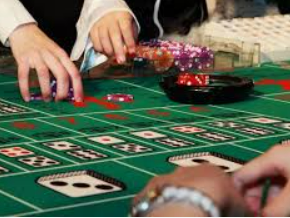 鲸鱼体育免费版