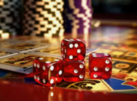 鲸鱼体育最新版